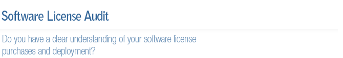 Software License Audit
